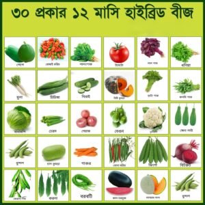 ৩০ রকম বীজের কম্বো প্যাকেজ