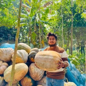 ১ পেকেট বড় মিষ্টি কুমড়া বীজ ৪০০ টাকা
