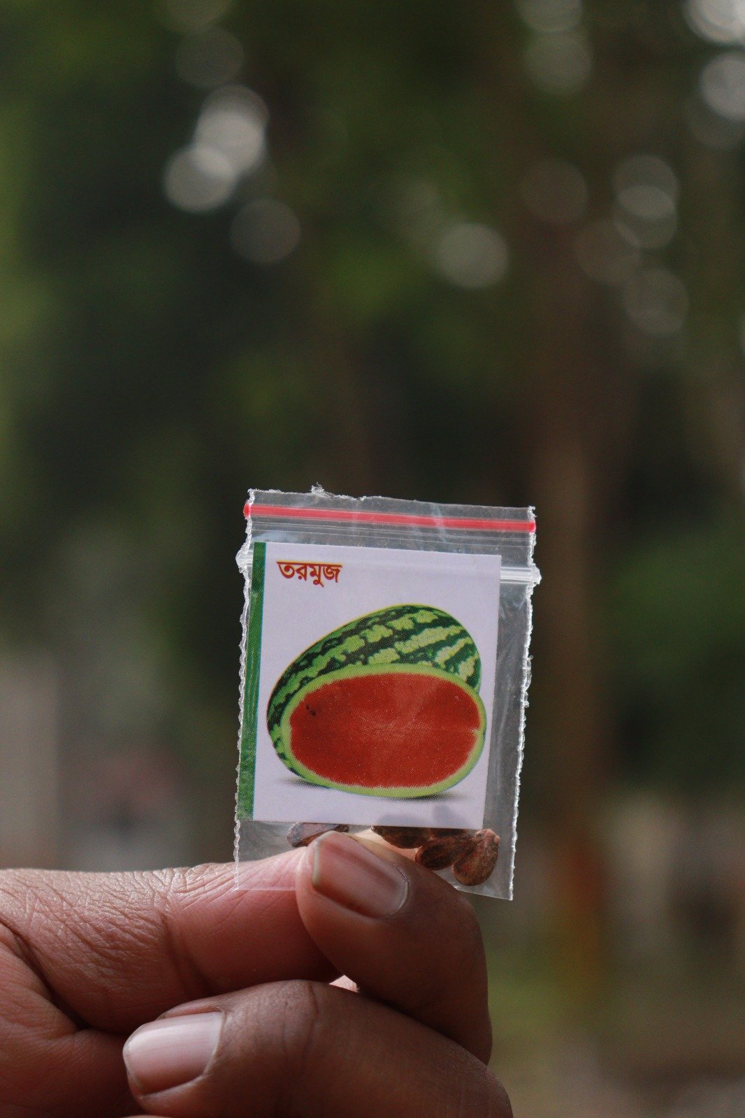 WhatsApp Image 2026-04-11 at 12.37.50 AM