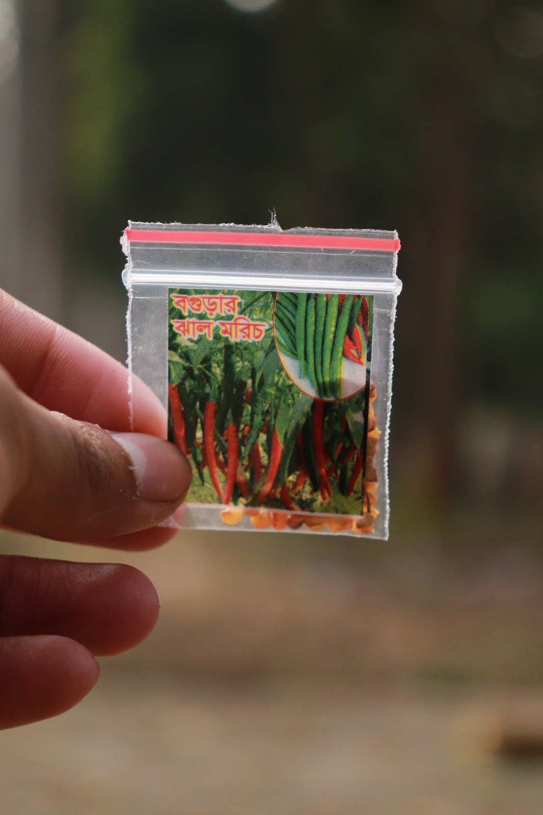 WhatsApp Image 2026-04-11 at 12.37.51 AM (1)