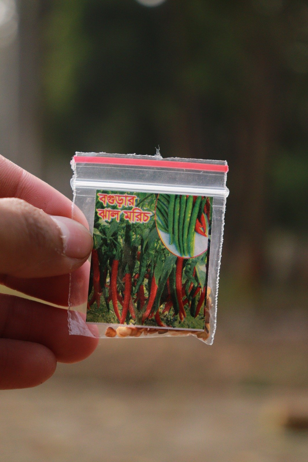 WhatsApp Image 2026-04-11 at 12.37.51 AM