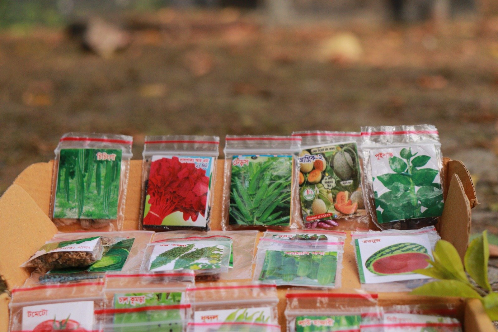 WhatsApp Image 2026-04-11 at 12.37.52 AM