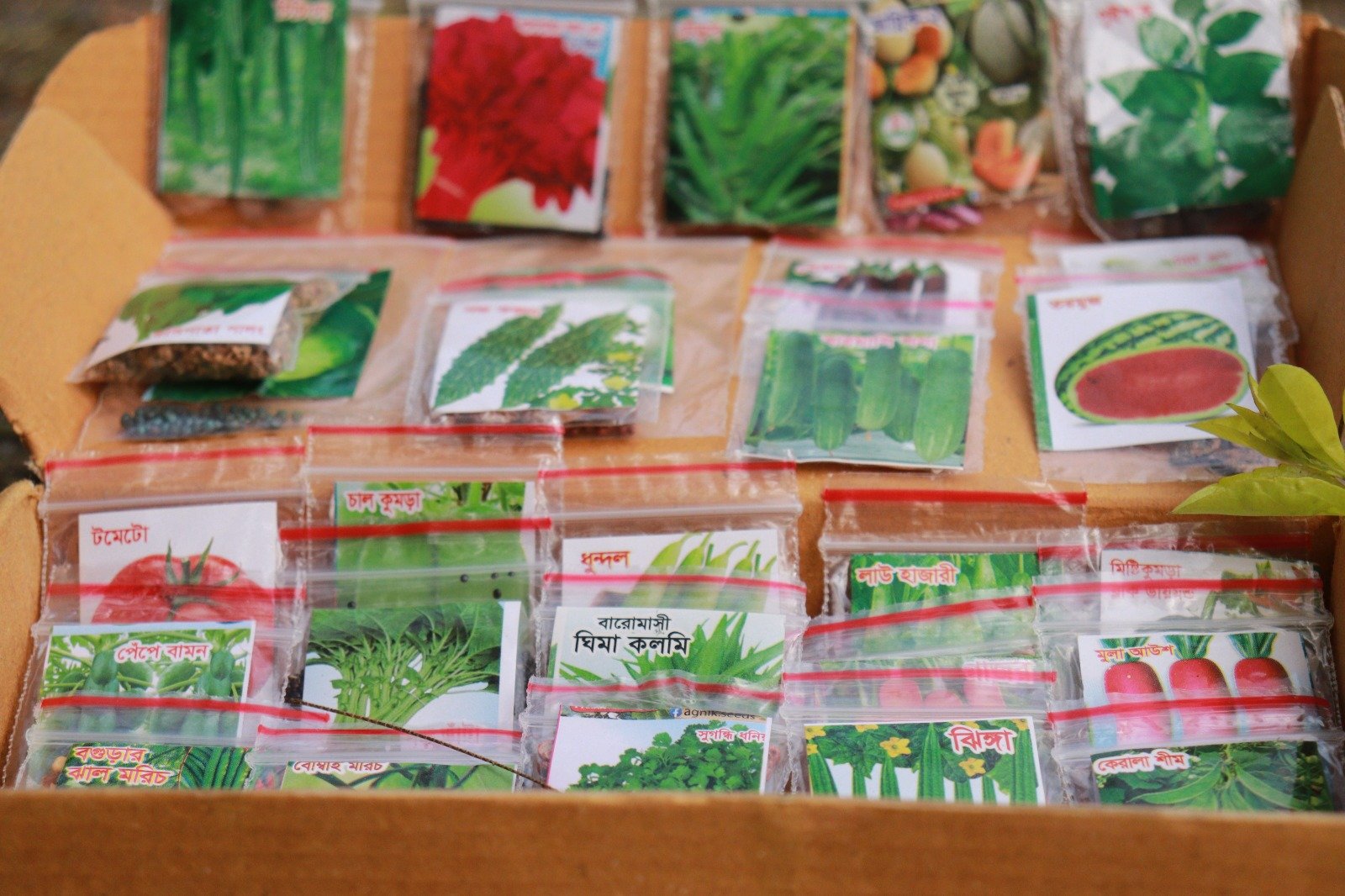 WhatsApp Image 2026-04-11 at 12.37.53 AM