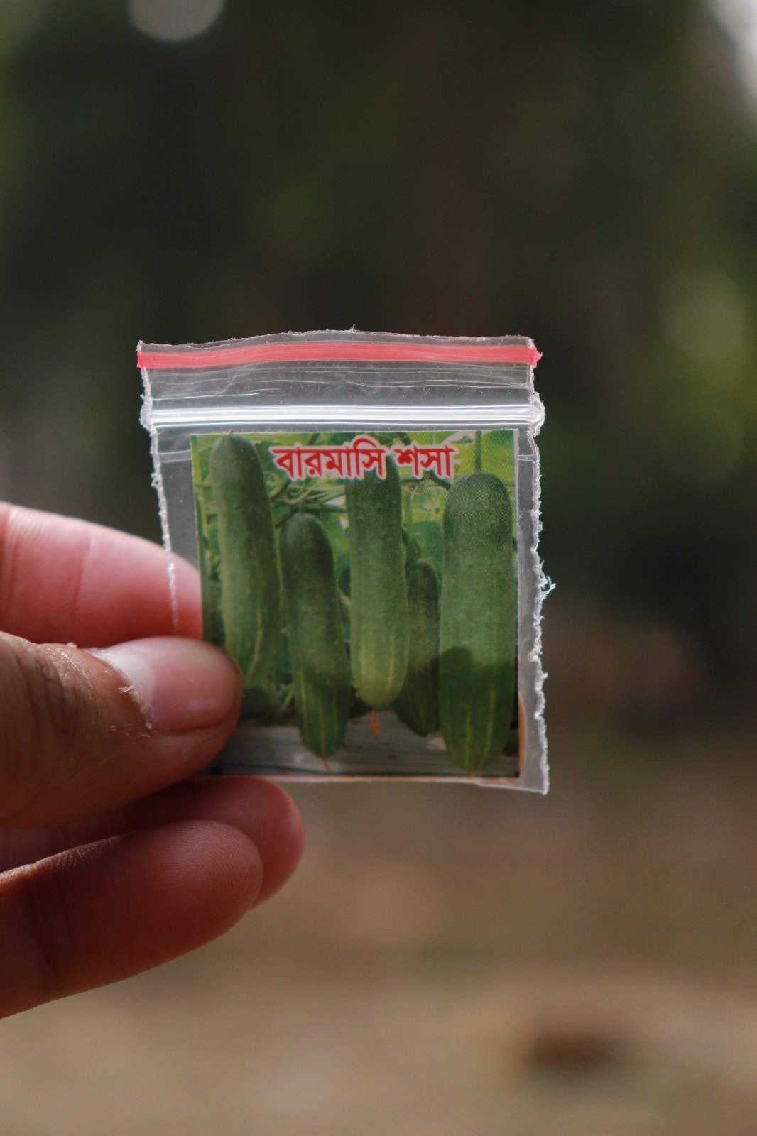 WhatsApp Image 2026-04-11 at 12.37.54 AM (2)