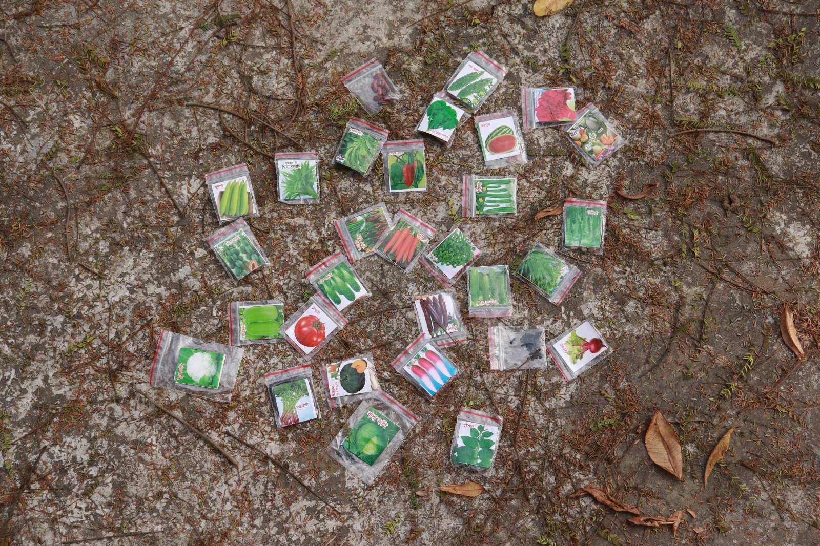 WhatsApp Image 2026-04-11 at 12.37.54 AM