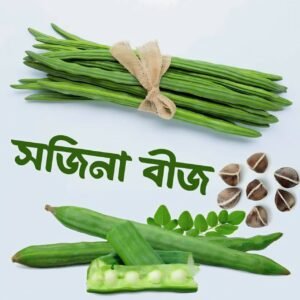 ১ প্যাকেট ODC -3 সজিনা