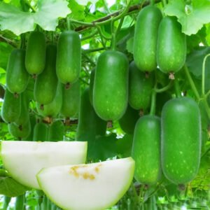 4 প্যাকেট 750 টাকা