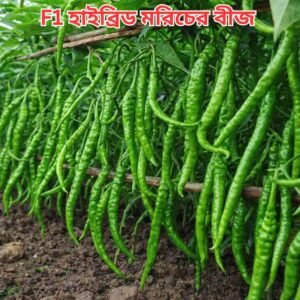 লম্বা জাপানি মরিচ 2 প্যাকেট 400  টাকা
