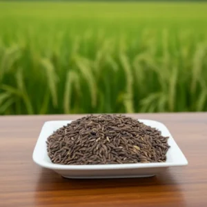 কালো ধান বীজ ১ কেজি