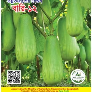 বারি বেগুন 2 পেকেট 400 টাকা